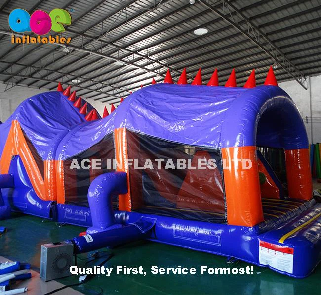 Crocodile Inflatable Obstacle Course